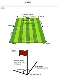 张玉宁：国足锋线的坚韧之星